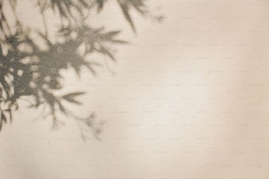诏安官陂：铭记抗战历史 厚植爱国情怀